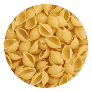 A pile of conchiglie shell pasta noodles.
